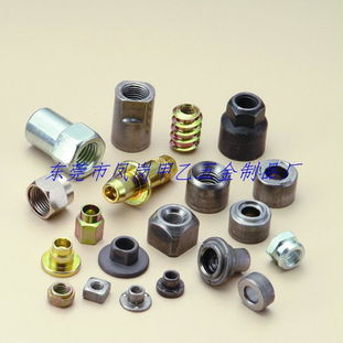 聚焦非標(biāo)緊固件 東莞風(fēng)崗甲乙五金制品廠的專業(yè)制造之路